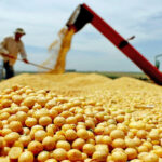 Tocantins projeta crescimento recorde na produção de grãos em 2024/2025